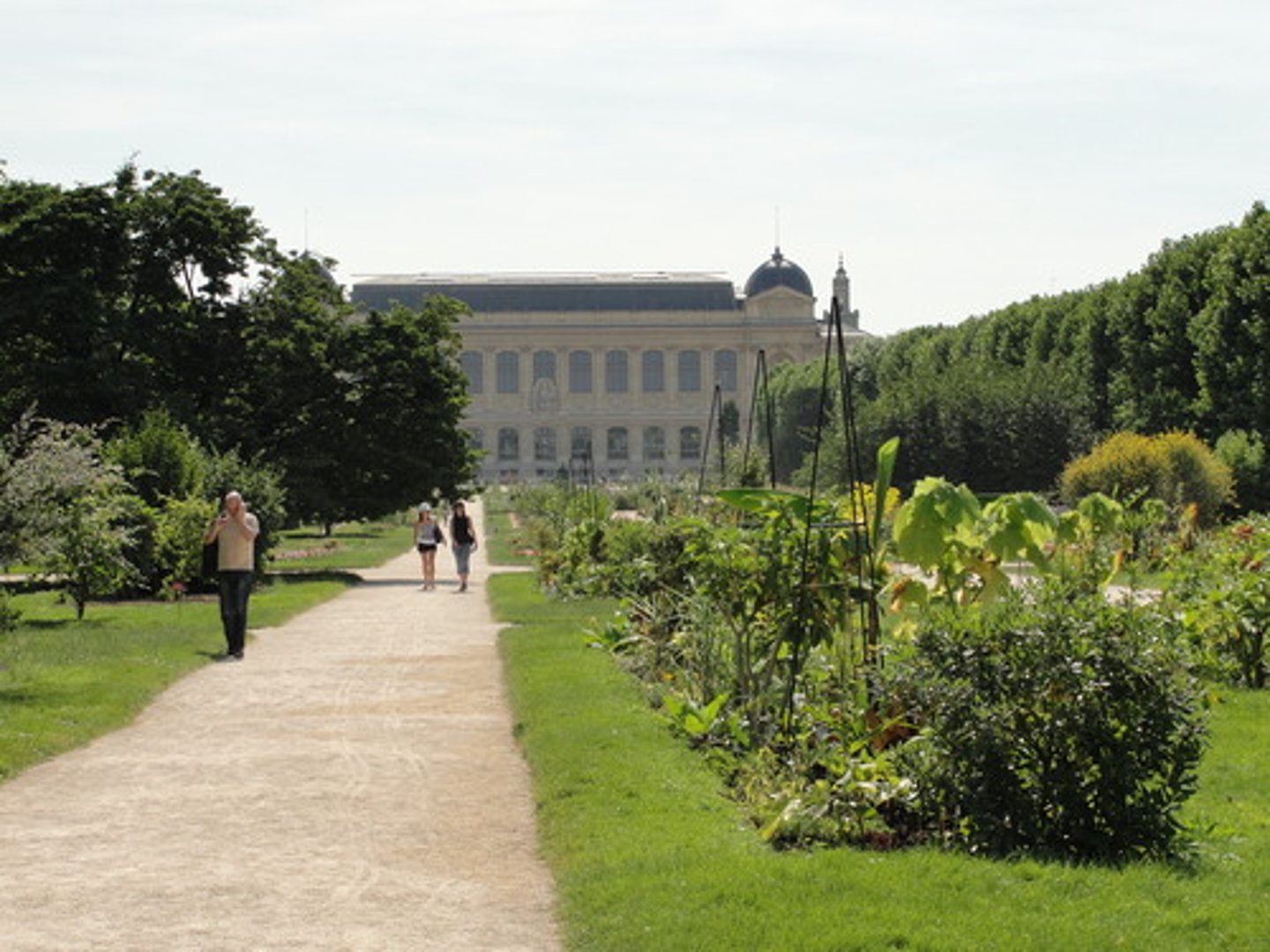 <p>garden</p>