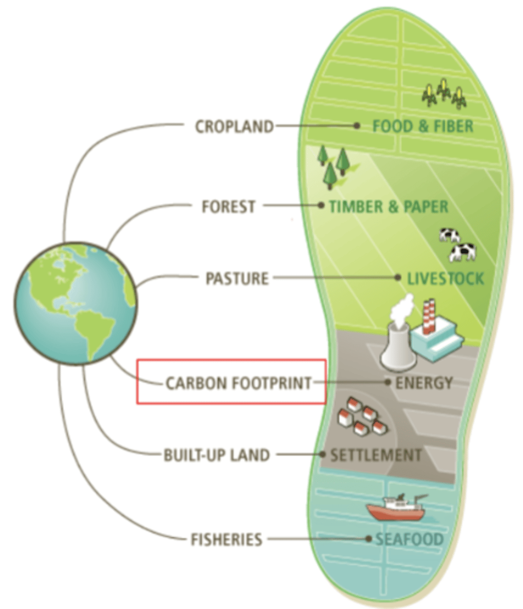 <p>Cropland</p><p>Forest</p><p>Pasture</p><p>Carbon Footprint</p><p>Built-Up Land</p><p>Fisheries</p>