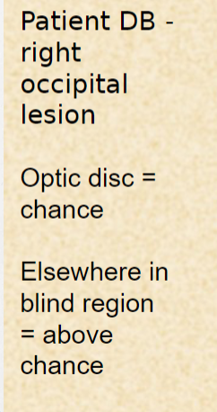 <p>it is a way to test for blindsight. the optic disk is where there are no photoreceptors and hence is a blind spot so should always be 50 % chance. </p>