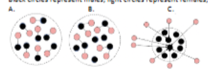 <p><span style="color: #000000"> Which of the above mating system(s) should favor male ornamentation but not male weaponry?</span><span style="color: #000000"><br></span><span style="color: #000000">A. A</span></p><p><span style="color: #000000">B. B</span><span style="color: #000000"><br></span><span style="color: #000000">C. C (this is a lek, where males do not fight, they simply display)</span><span style="color: #000000"><br></span><span style="color: #000000">D. B&amp;C</span><span style="color: #000000"><br></span><span style="color: #000000">E. None of the above</span></p>