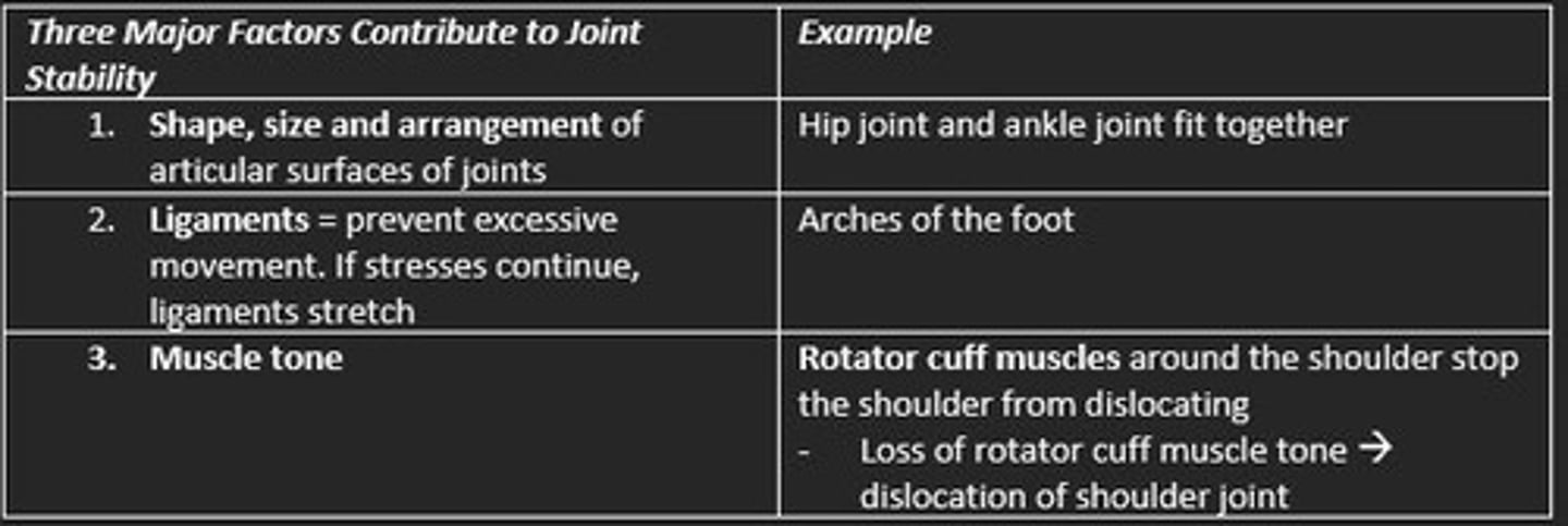 <p>1) Shape, size and arrangement of articular surfaces</p><p>2) Ligaments</p><p>3) Muscle tone</p>