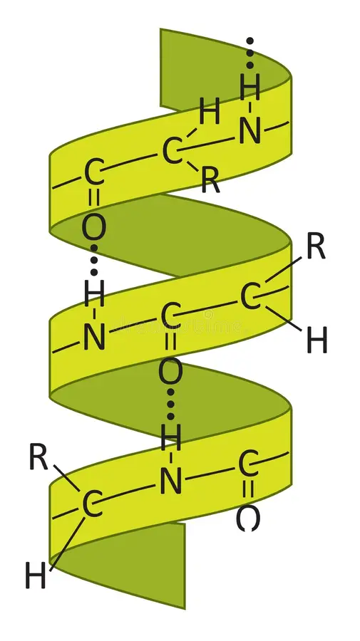 <p>identify </p>