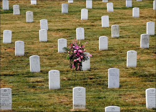 <p>number of deaths in a place in a year</p>