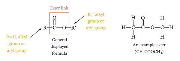 <p>In a triglyercide after a condensation reaction</p><p></p>