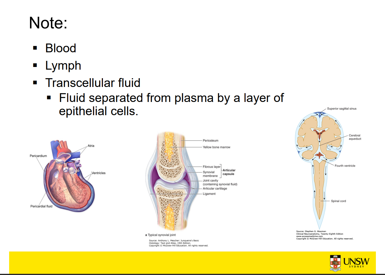 * what is the intracellular and extracellular compartments of blood 
* what percentage of body weight is lymph and which compartment does it belong interstitial or plasma 