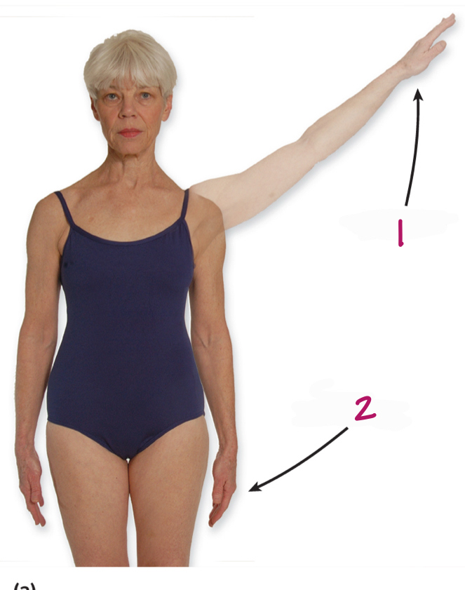 <p>Label figure 2.</p>