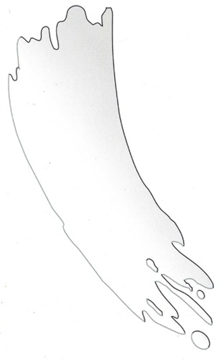 <p>white</p>