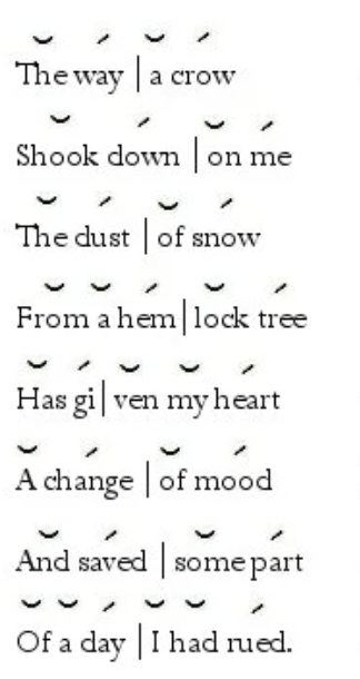 <p>a line of verse consisting of two metrical feet </p>