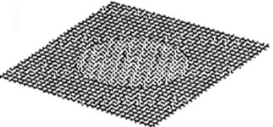 <p>What is this?</p>