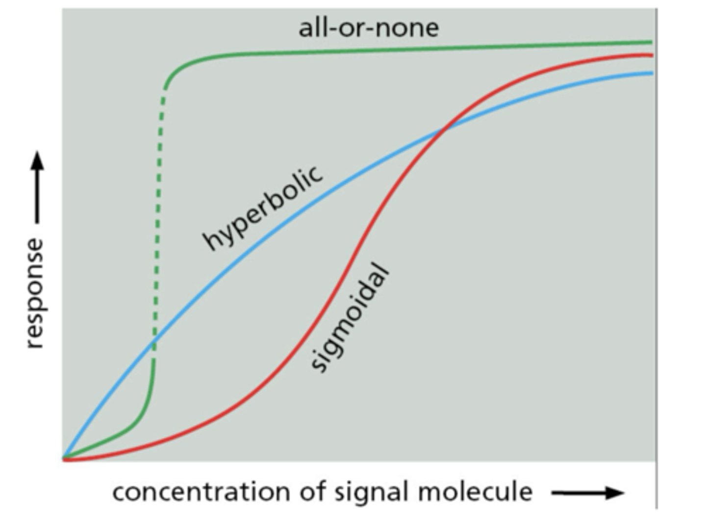 <p>abrupt switch from low to high response</p>