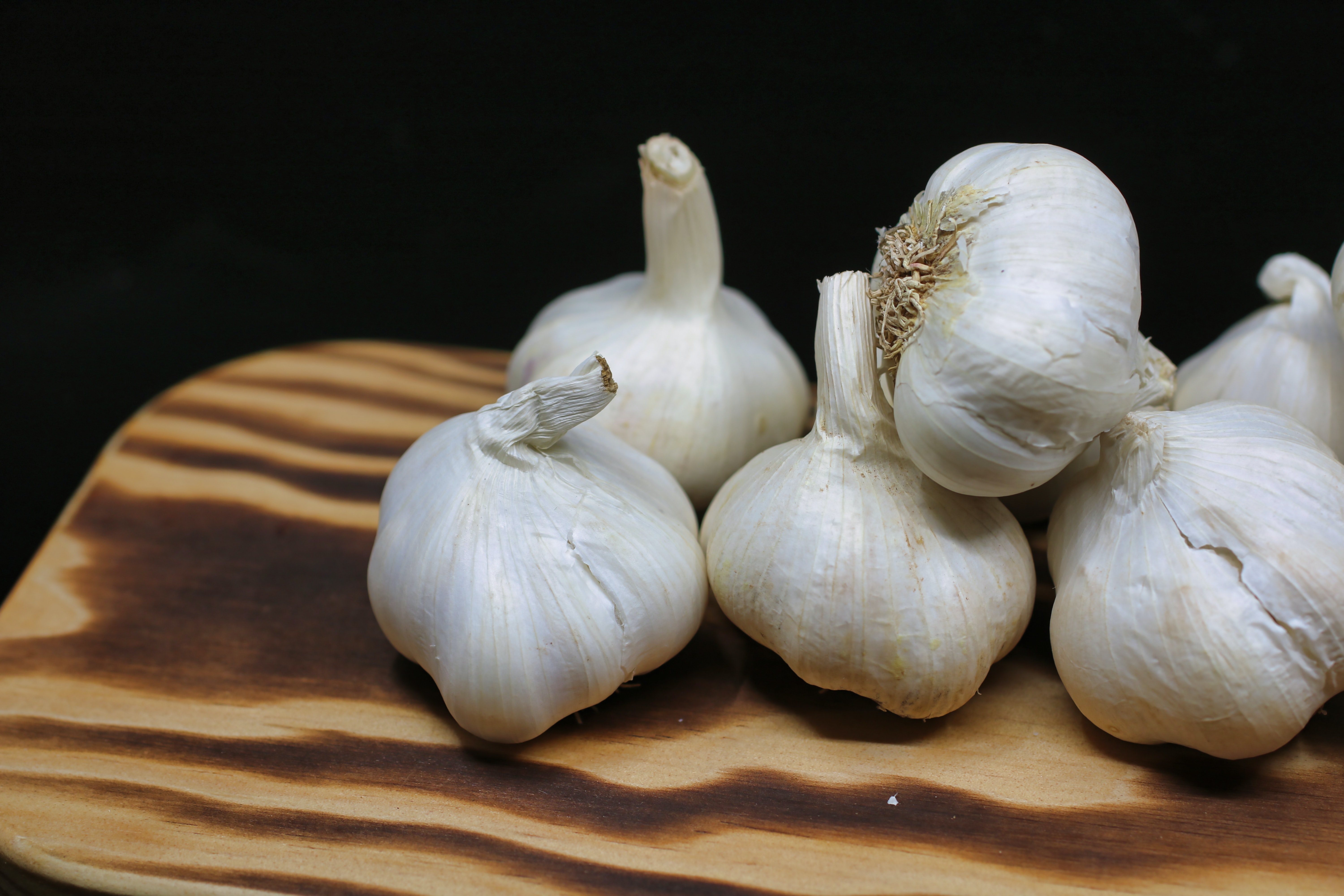 der Knoblauch
