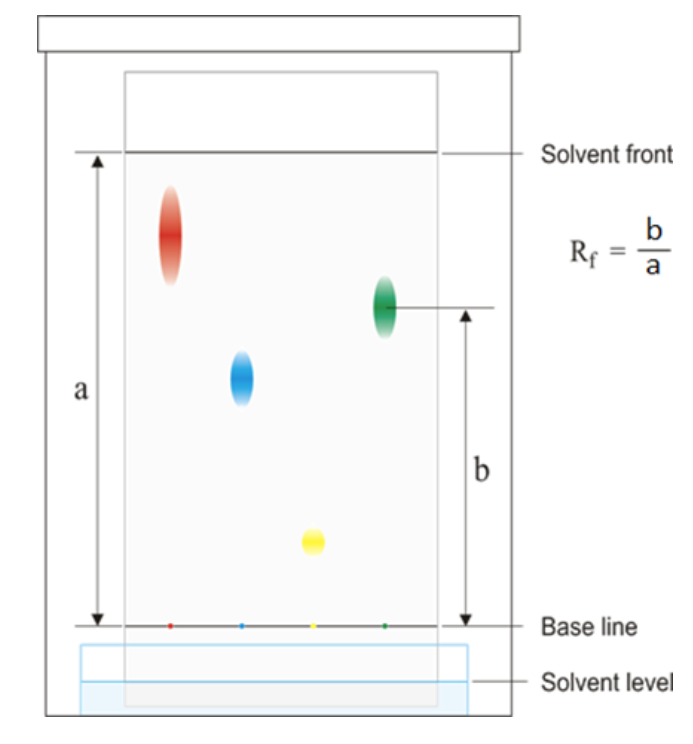 <p>Always has to be between 0-1</p>