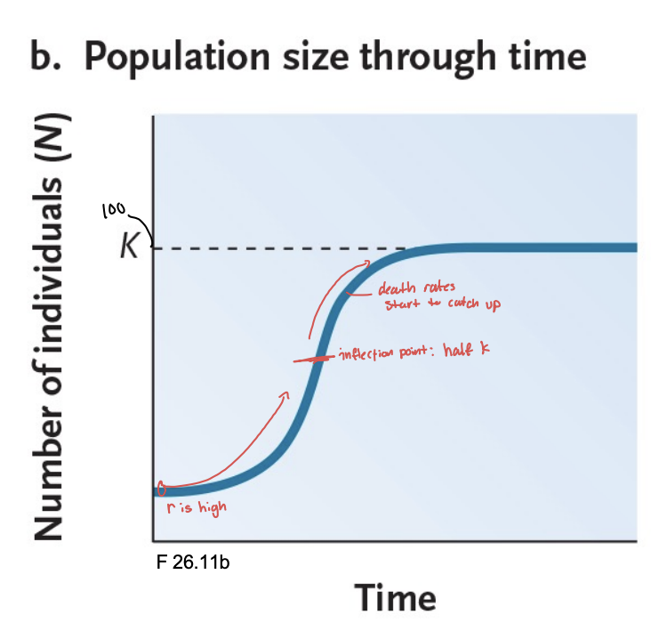 <p>death rates increase, birth rates decrease</p><p>r decreases as the population grows and reaches k</p>