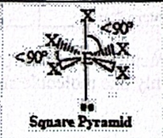 <p>Square Pyramid (sp<sup>3</sup>d<sup>2</sup>)</p>