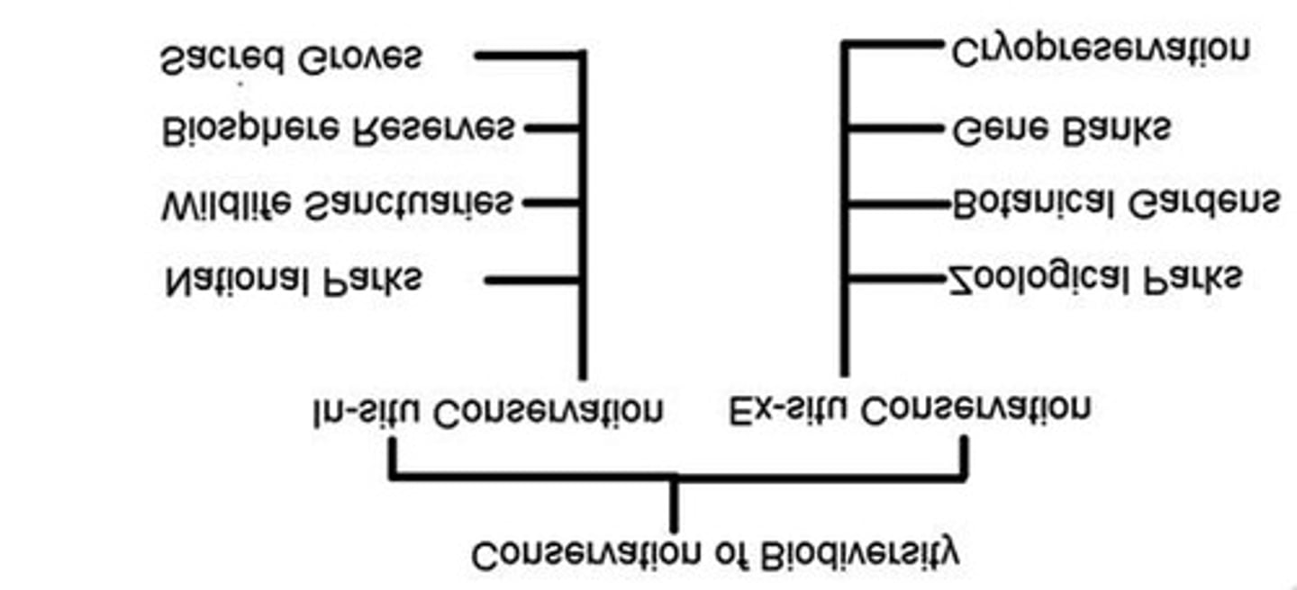 <p>Conservation of species in their natural habitats.</p>