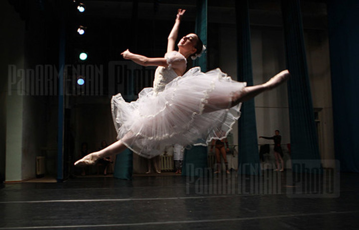 <p>the ballerina</p>