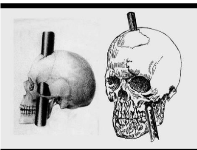 <p>Within the frontal lobe, the prefrontal cortex is involved in personality expression, decision making, moderating social behavior and planning complex cognitive behavior</p>
