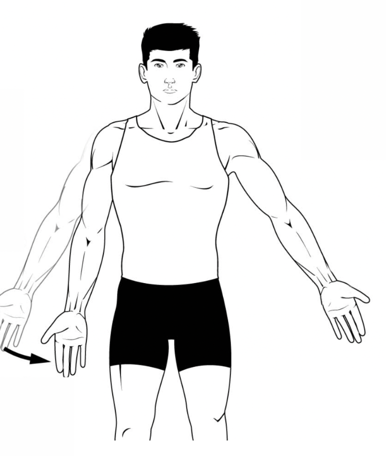 <p>What type of movement is this?</p>
