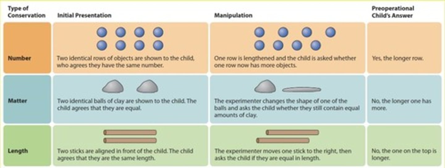 <p>The concept that an object's or substance's basic properties stay the same even if its appearance has been altered.</p>