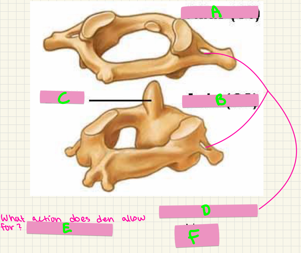 <p>What’s A-D?</p>