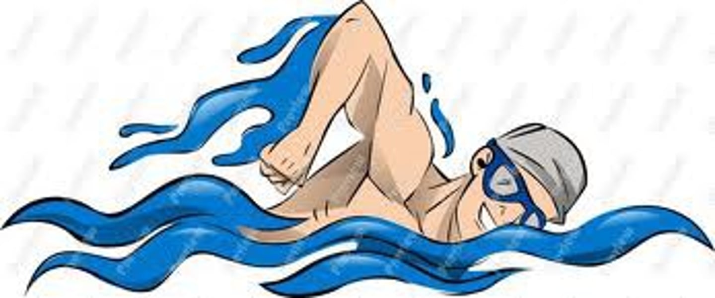 <p>yóu yǒng</p><p>[v] swim, swimming</p>