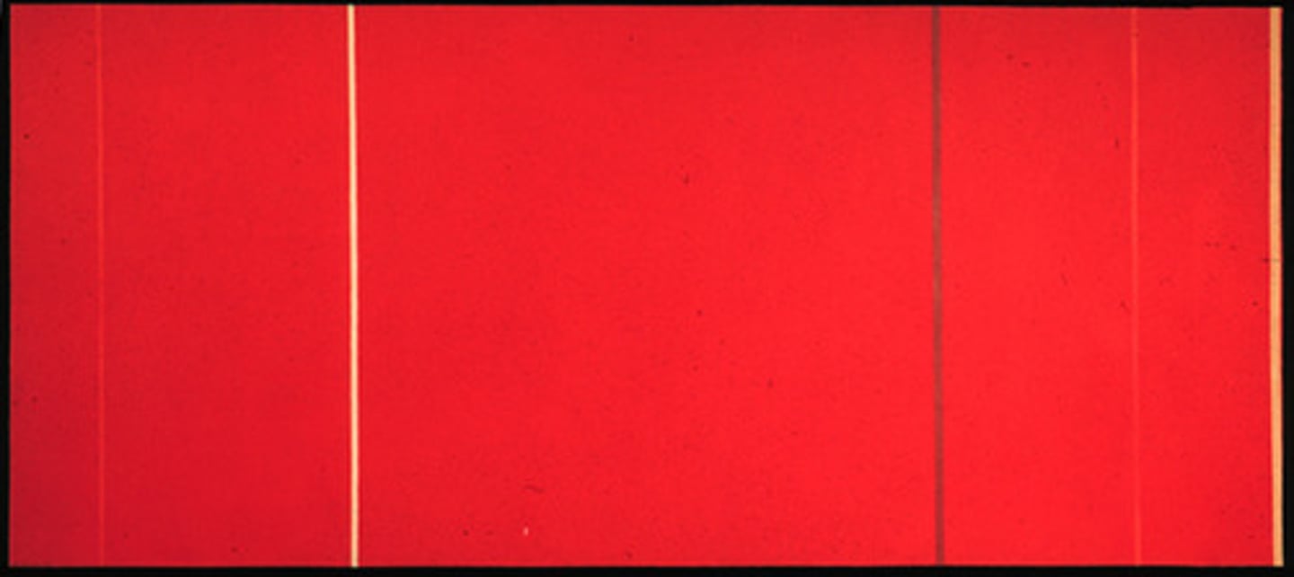 <p>Barnett Newman ; color-field painting, très grand format</p>