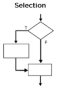 Ask a question that has two options and then plays the code due to the chosen option