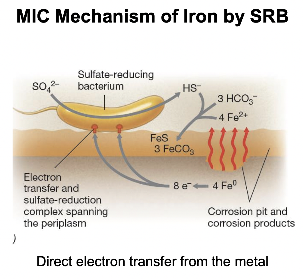 <p>What compounds indicate iron metal corrosion?</p>
