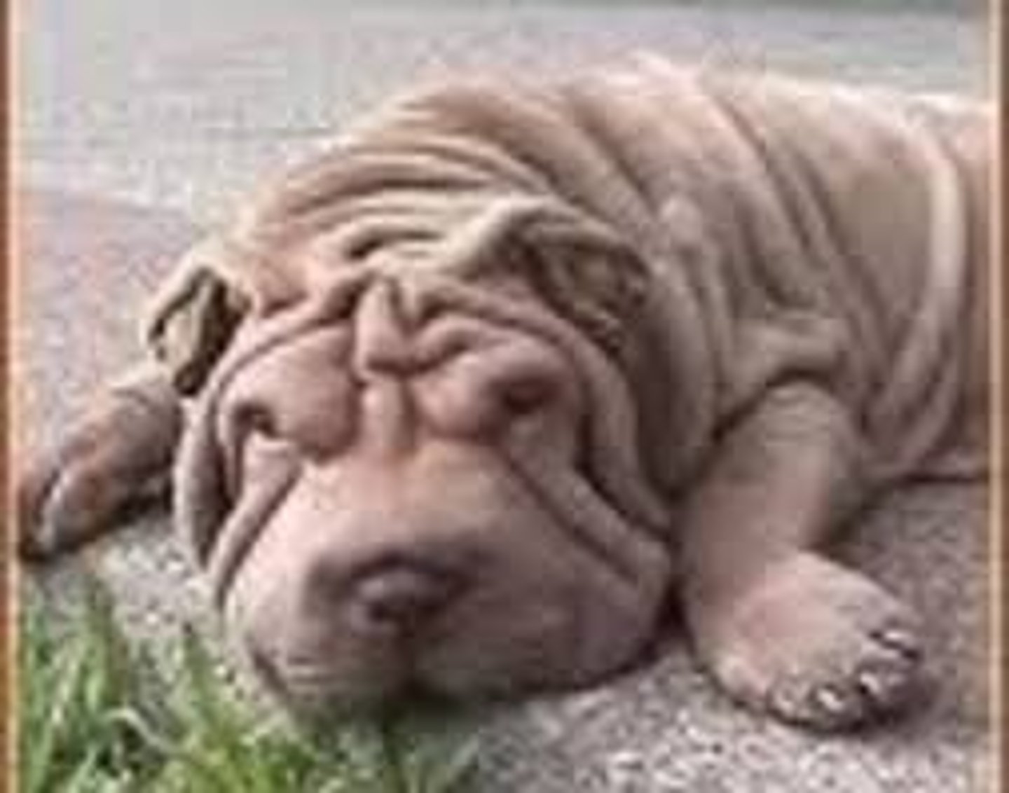 <p>wrinkled</p>