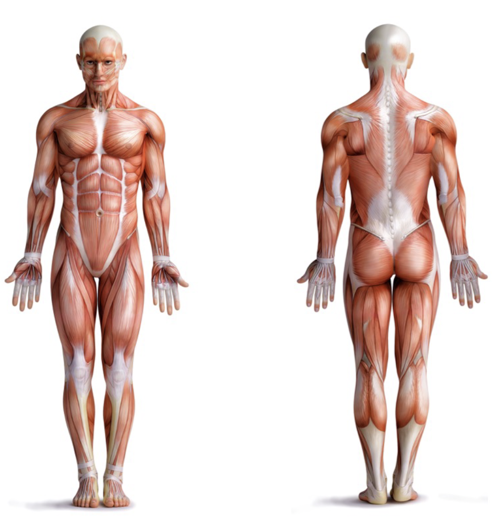 <p>What is this position called?</p>