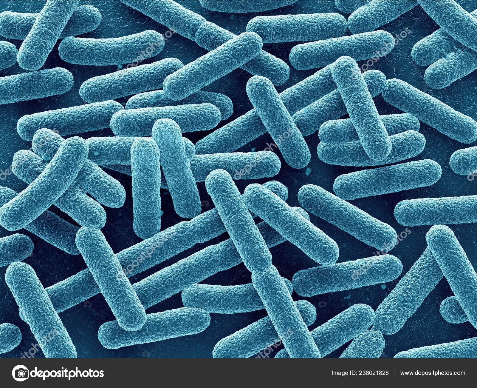 What is this pathogenic bacteria