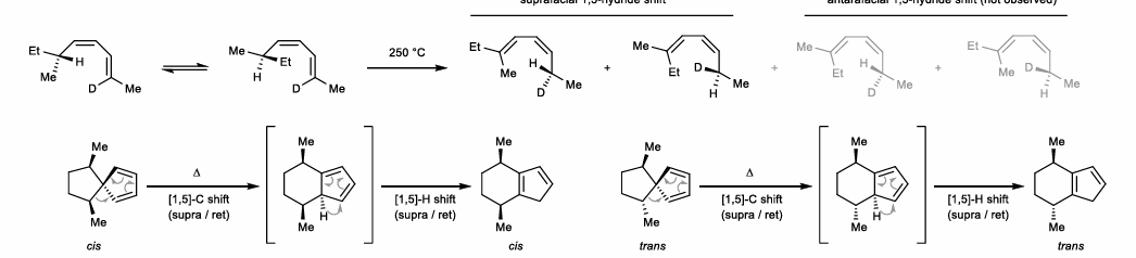 <ul><li><p>Hydride and alkyl shifts of conj. dienes </p></li><li><p>Suprafacial, stereoretentive</p></li><li><p>Super fast in strained systems (i.e cyclopentadiene)</p></li></ul><p></p>