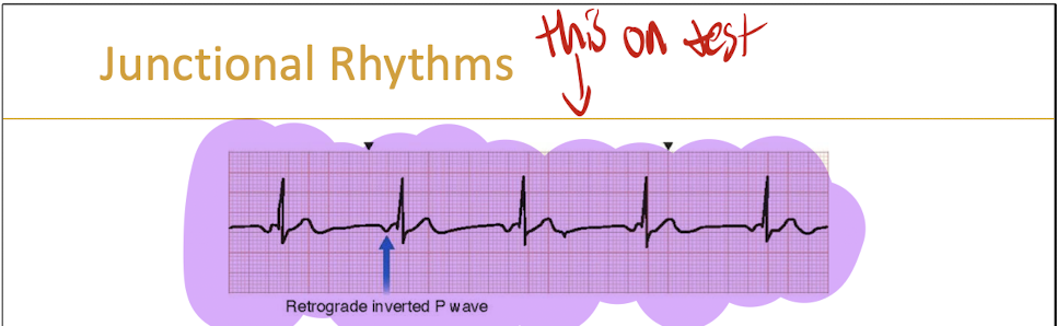 <p>They are often kinda upside down and weird looking </p>