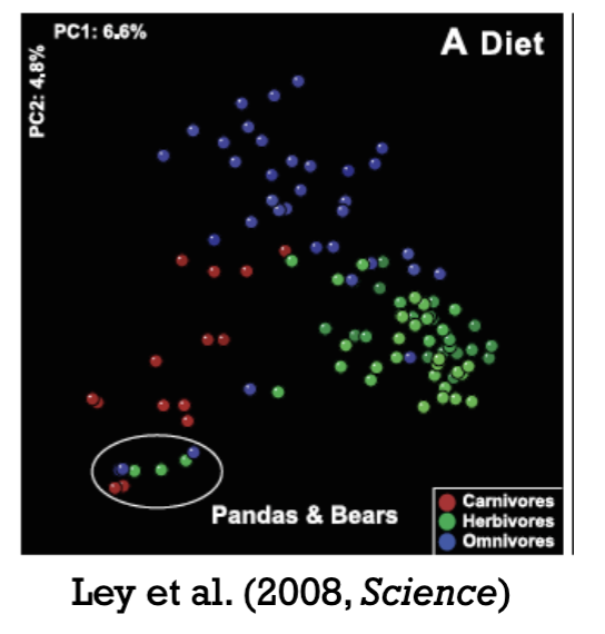 <p>Look at this microbial symbiont graph, what does it tell you?</p>