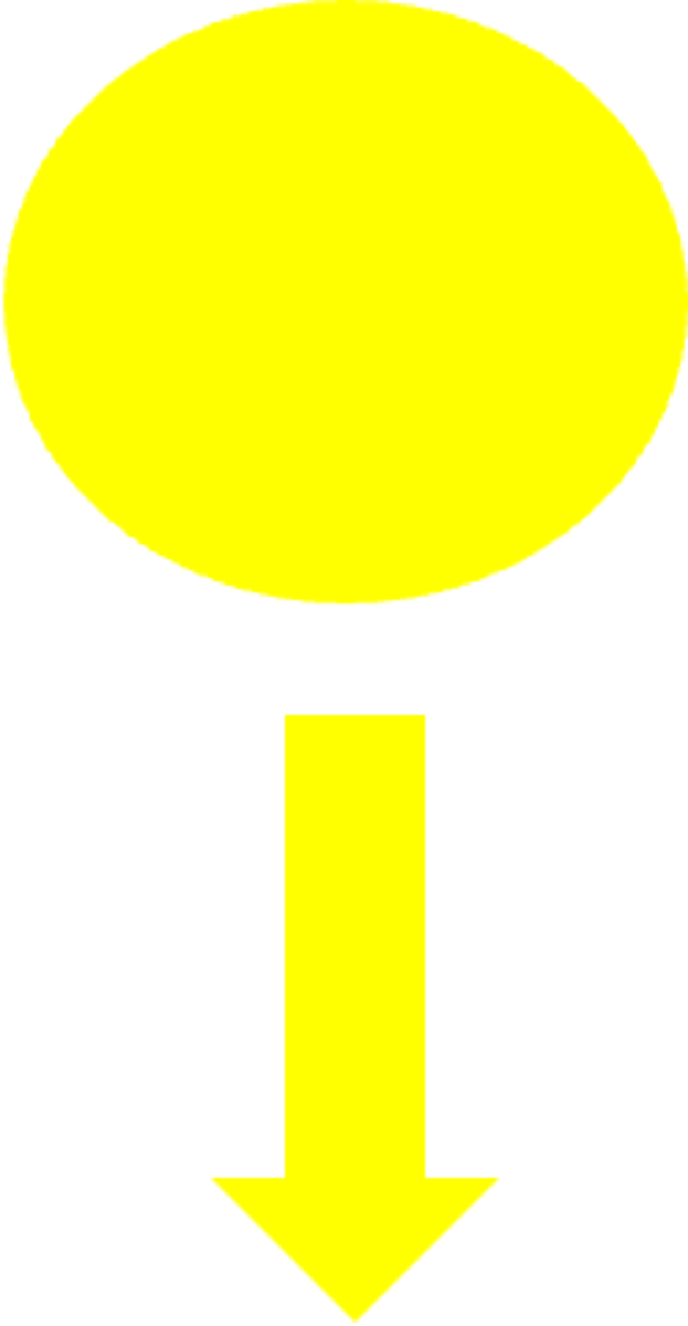 <p>Photoreceptors initially do what?</p>