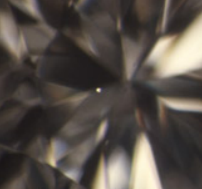 <p>What inclusion is this?</p>