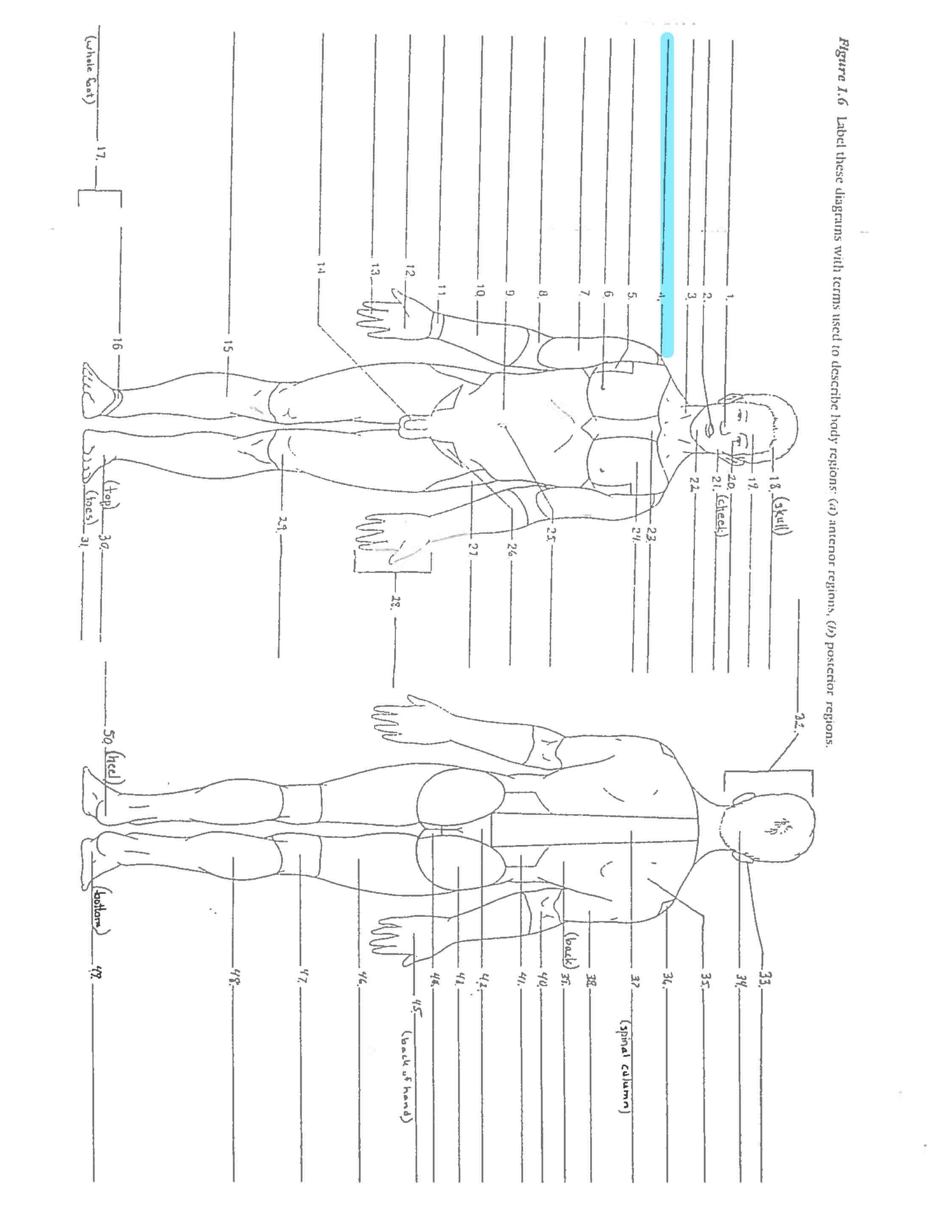 <p>Line 4</p>