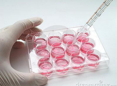 <p>virus isolation through tissue culture (viruses are obligate inrtra-cellular) </p>