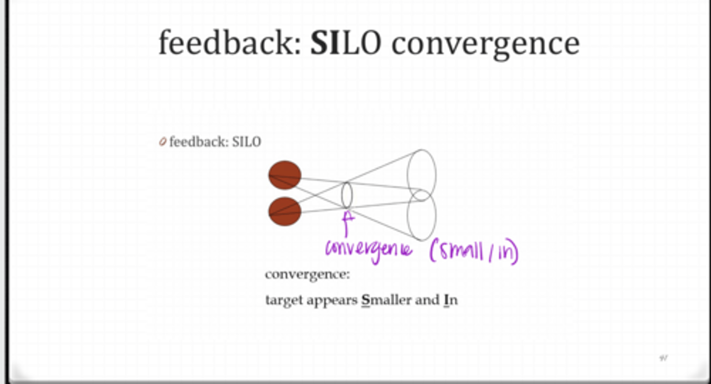 <p>What is SILO (Vision Therapy Guideline)?</p>