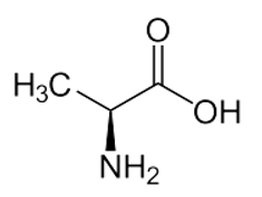 <p><span><span>CH₃-CH(NH₂)-COOH</span></span></p>