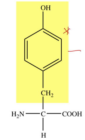 PHENOL GROUP