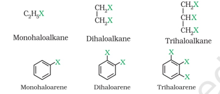 <p>X is attached to sp³ hybrid carbon:<br>1) Alkyl Halides<br>2) Allylic Halides<br>3) Benzylic Halides<br><br>X is attached to sp² hybrid carbon:<br>4) Vinylic Halides<br>5) Aryl Halides (or) Haloarenes</p>