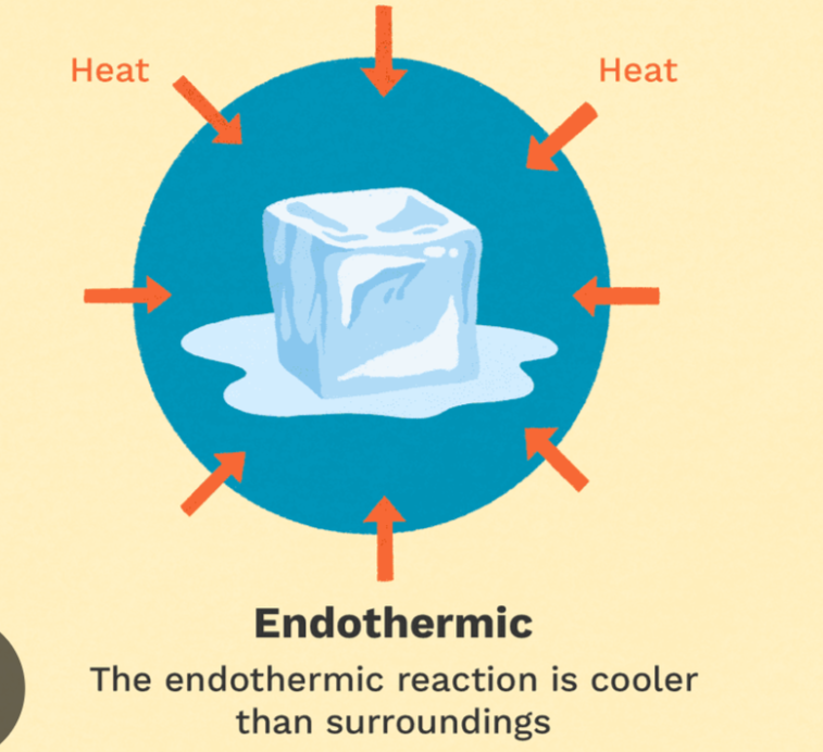 <p>endothermic</p>