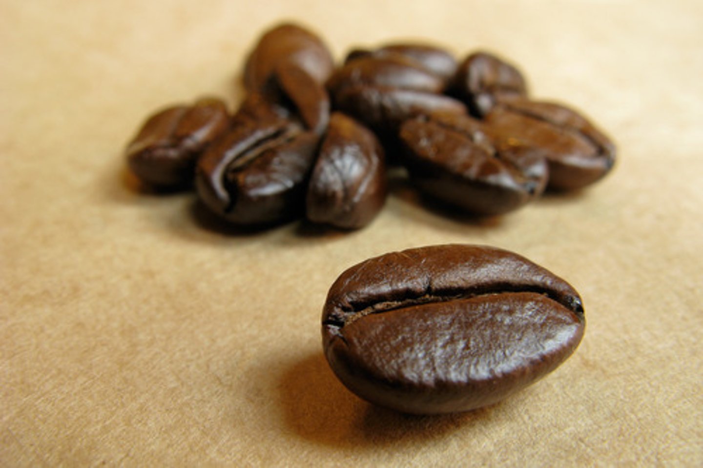 <p>kahverengi kahve çekirdekleri</p><p>a brown coffee bean</p>