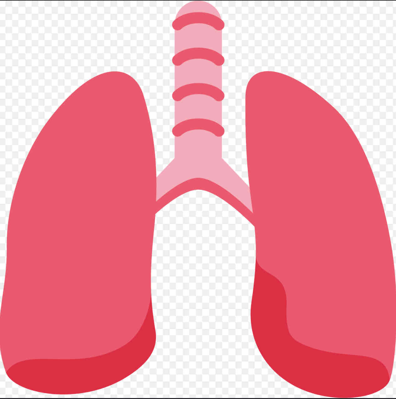 <p>Oxygen in, CO2 out</p>