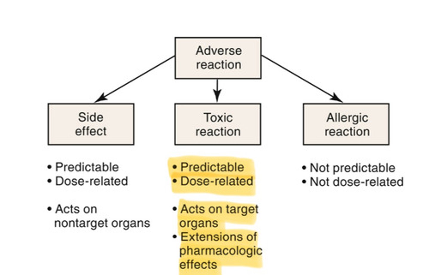 <p>an exaggeration of the known and desired effects of a drug; predictable</p>