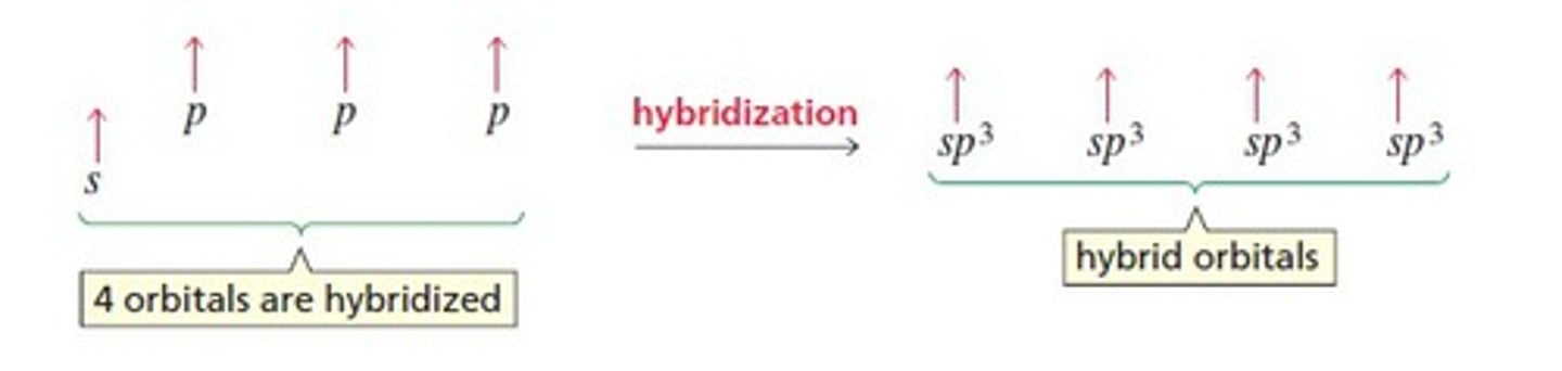 <p>the formation of a hybrid orbital from one 2s and three 2p orbitals</p>