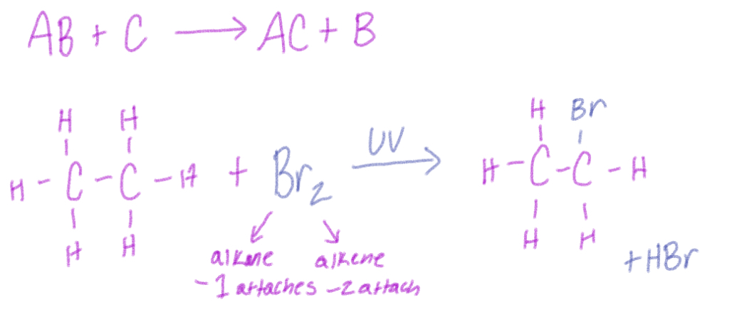 <p>2 reactants exchange parts to give 2 new products, uses UV and heat</p><p>Br2 (less reactive, more selective) or Cl2 (more reactive, less selective)</p><p>If reactant is alkane—one attaches and yields new product + HBr/Cl</p><p>If reactant is alkene—two attach and yields new product + H2</p>