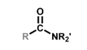 <p>What functional group is this? What does the R and R’represent?</p>