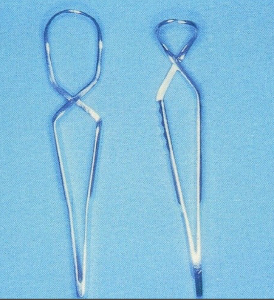 <p>What are these?</p>